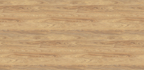 Hickory Oak